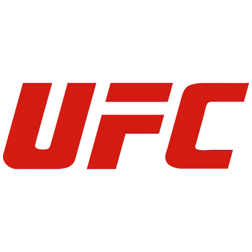 UFC 330